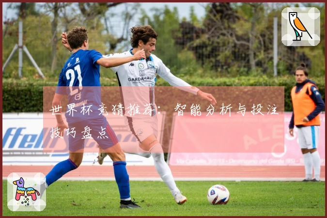 世界杯竞猜推荐：智能分析与投注技巧盘点