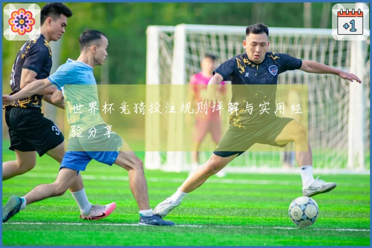 世界杯竞猜投注规则详解与实用经验分享