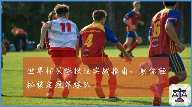 世界杯买球投注实战指南，助你轻松锁定冠军球队