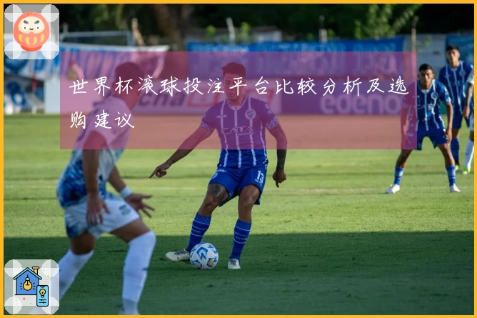 世界杯滚球投注平台比较分析及选购建议