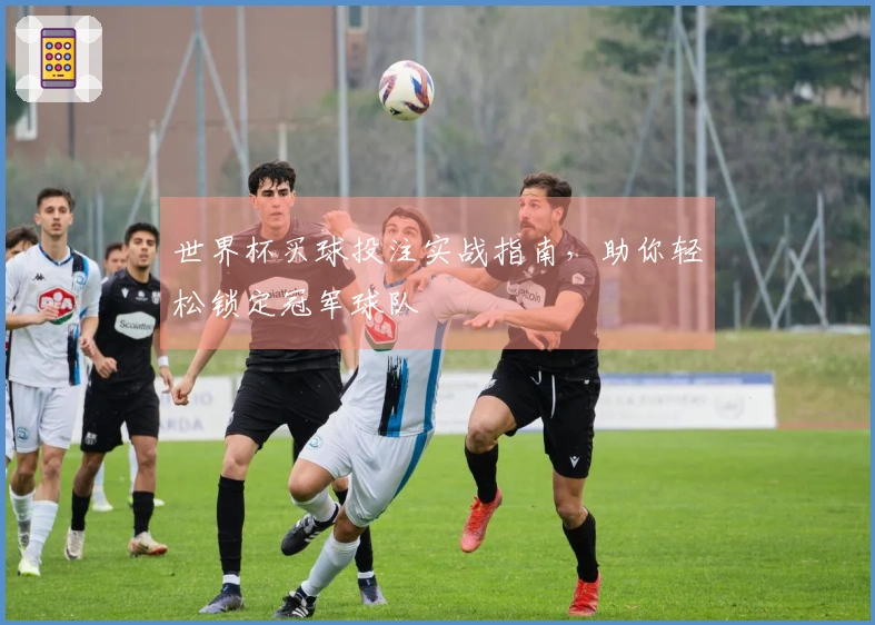 世界杯买球投注实战指南，助你轻松锁定冠军球队